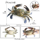 Animal de Silicone Sensorial Tátil – Ultrarrealista!