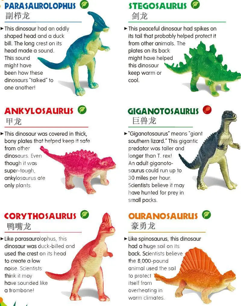 Escavação Descobre ovos de dinossauro