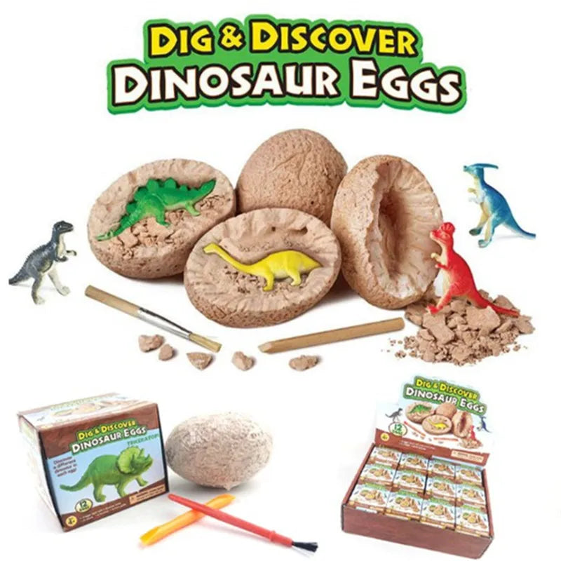 Escavação Descobre ovos de dinossauro