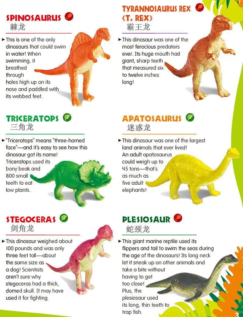 Escavação Descobre ovos de dinossauro