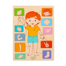 Quebra-Cabeça de Partes do Corpo e Órgãos Humanos em Madeira